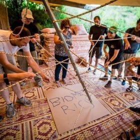 יום ירוק בהר הכרמל